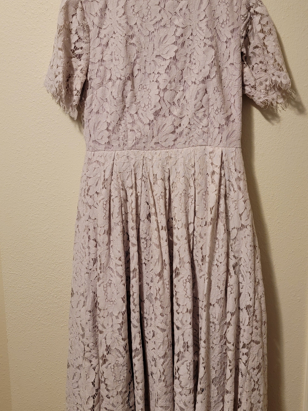 Rachel Parcell Lace Fit And Flare Dress